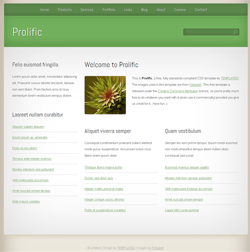 blog,personal website template