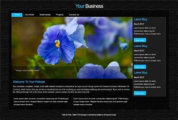 blog,personal,portfolio website template